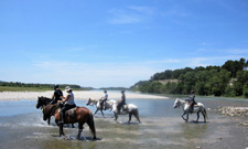 France-Provence-Provence to Camargue Mediterranean Ride